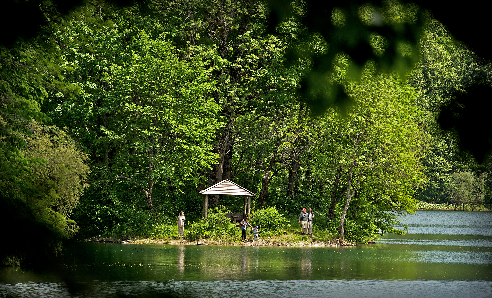 This image for Image Layouts addon